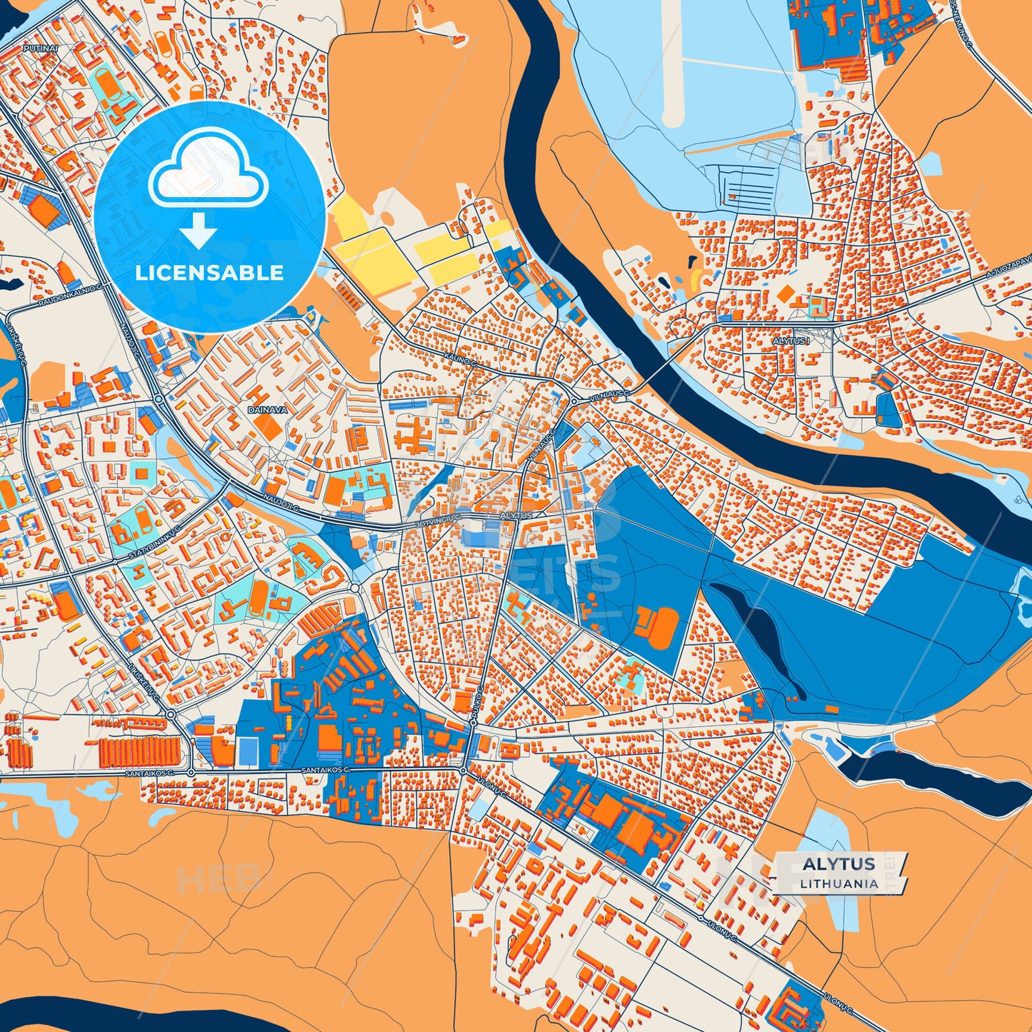 Canvas Print Template of Alytus Street Map