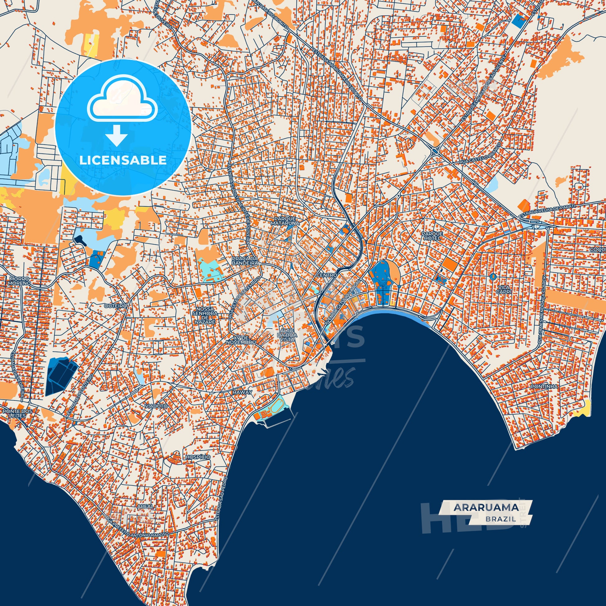 Canvas Print Template of Araruama Street Map