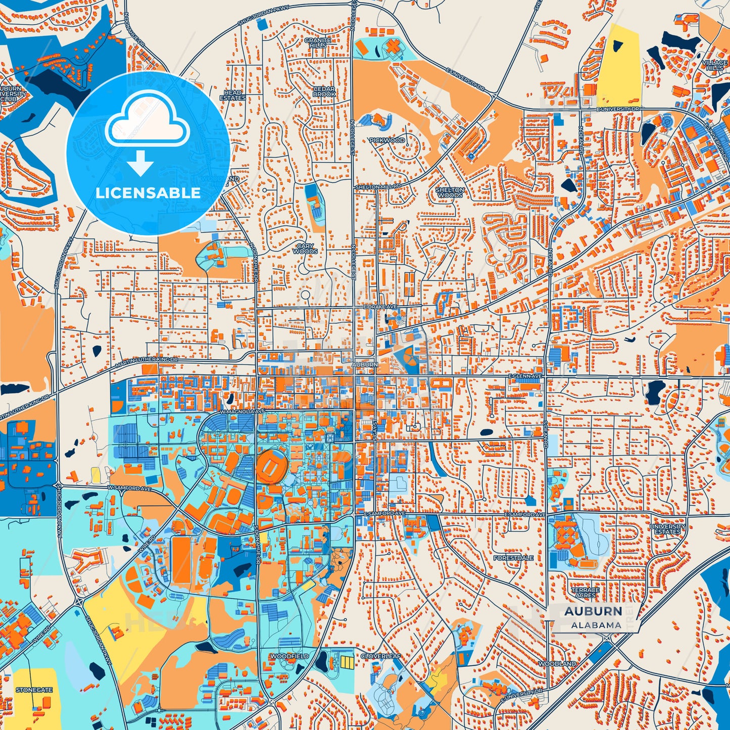 Canvas Print Template of Auburn Street Map