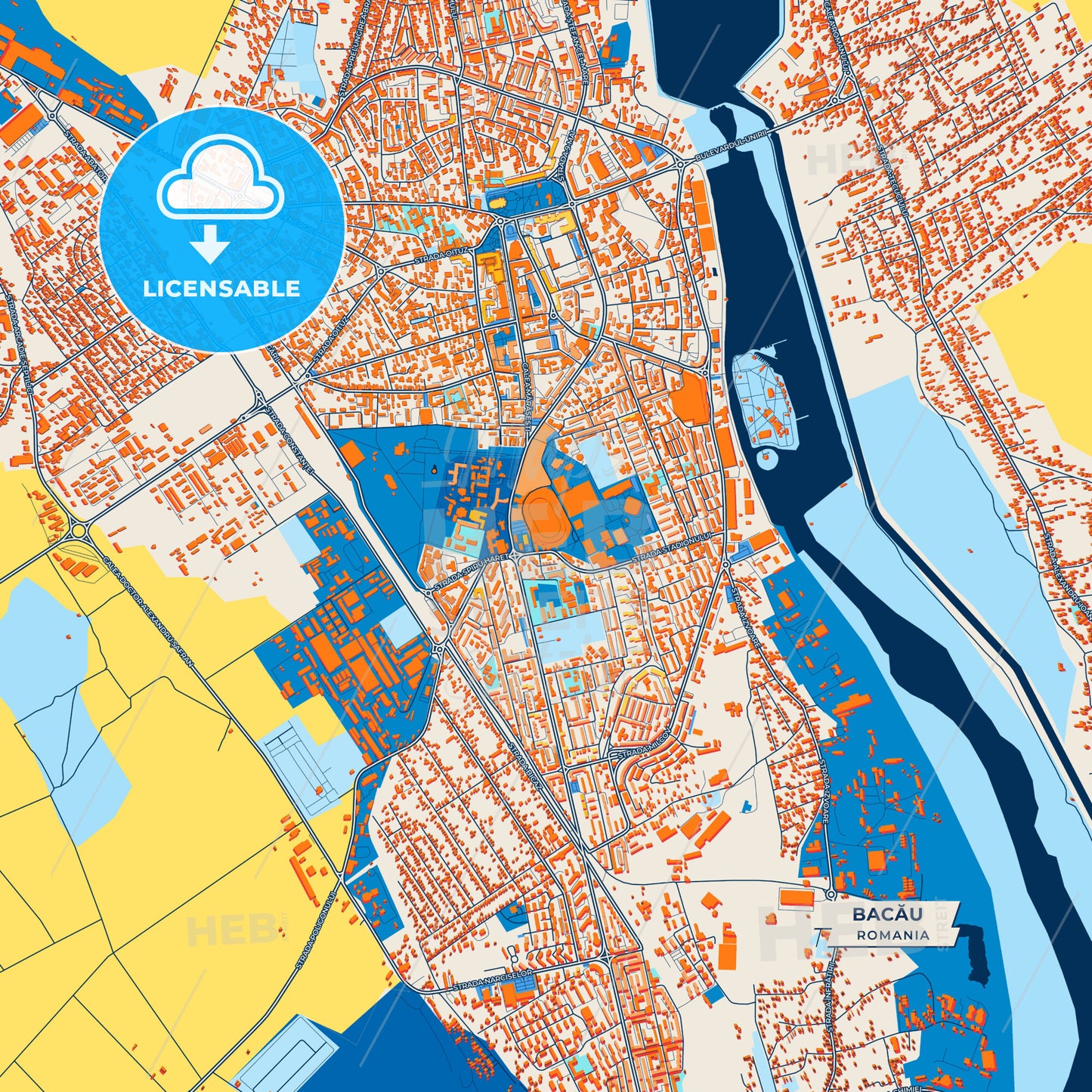 Canvas Print Template of Bacău Street Map