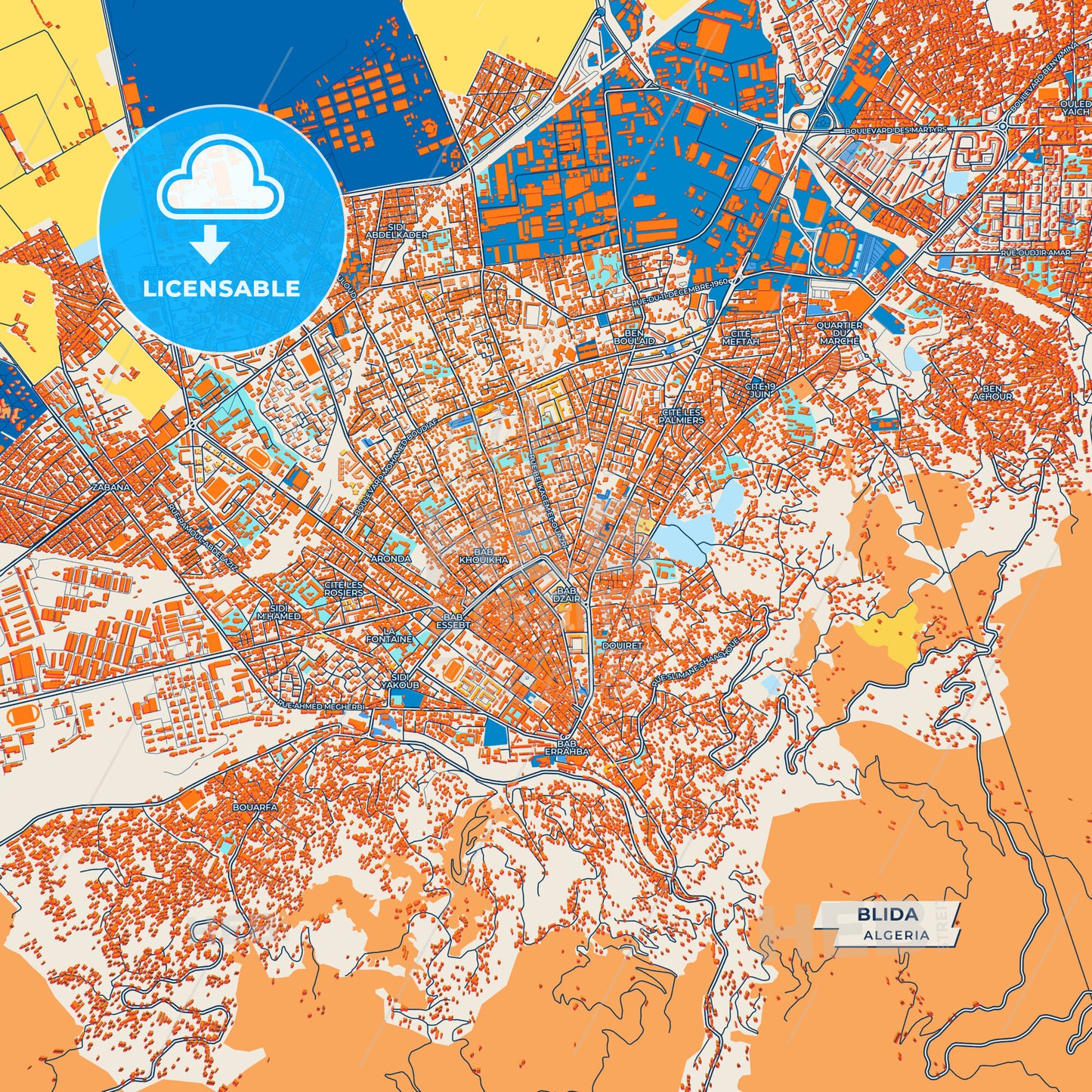 Canvas Print Template of Blida Street Map