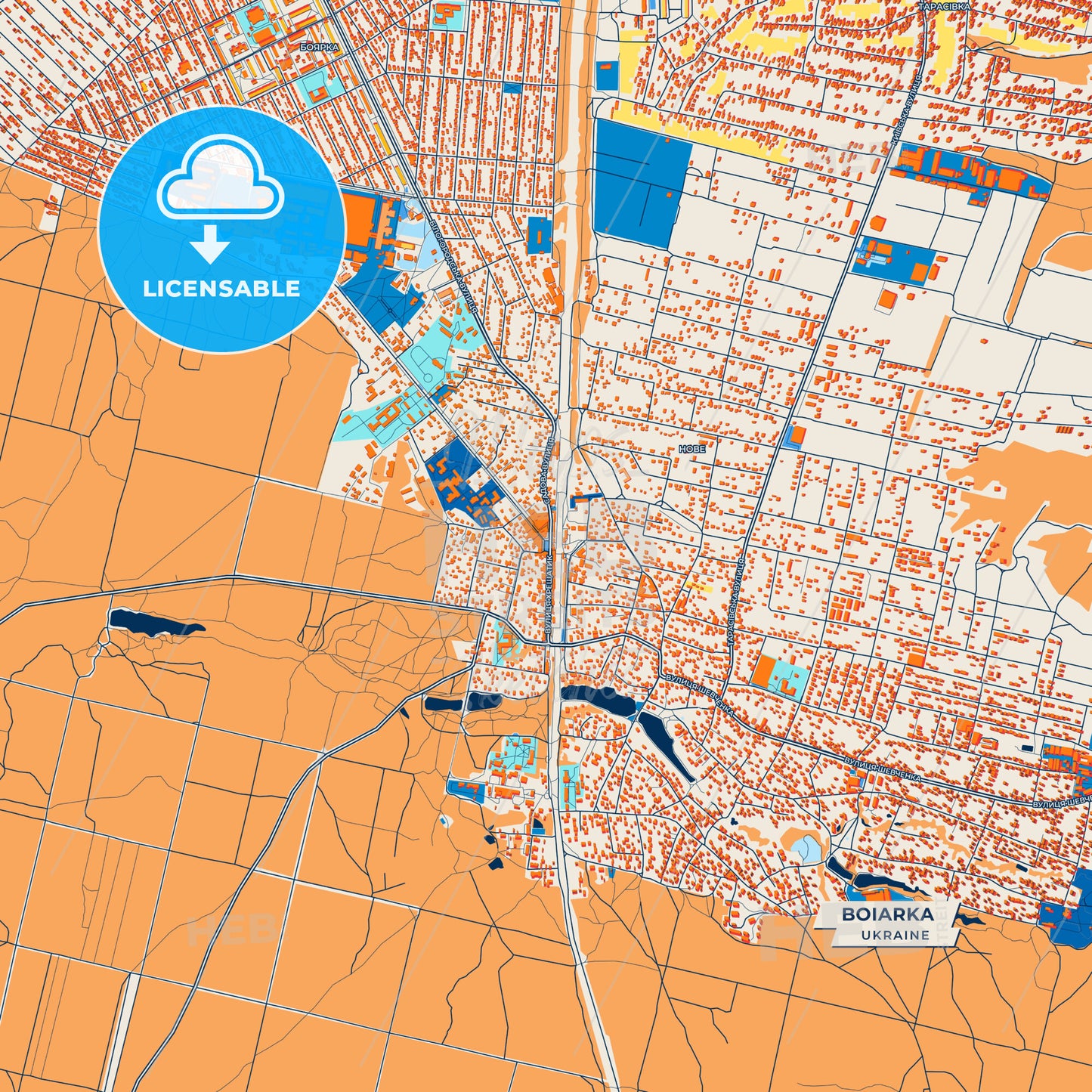 Canvas Print Template of Boiarka Street Map