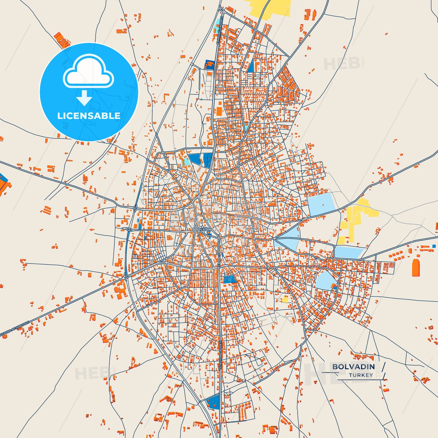 Canvas Print Template of Bolvadin Street Map