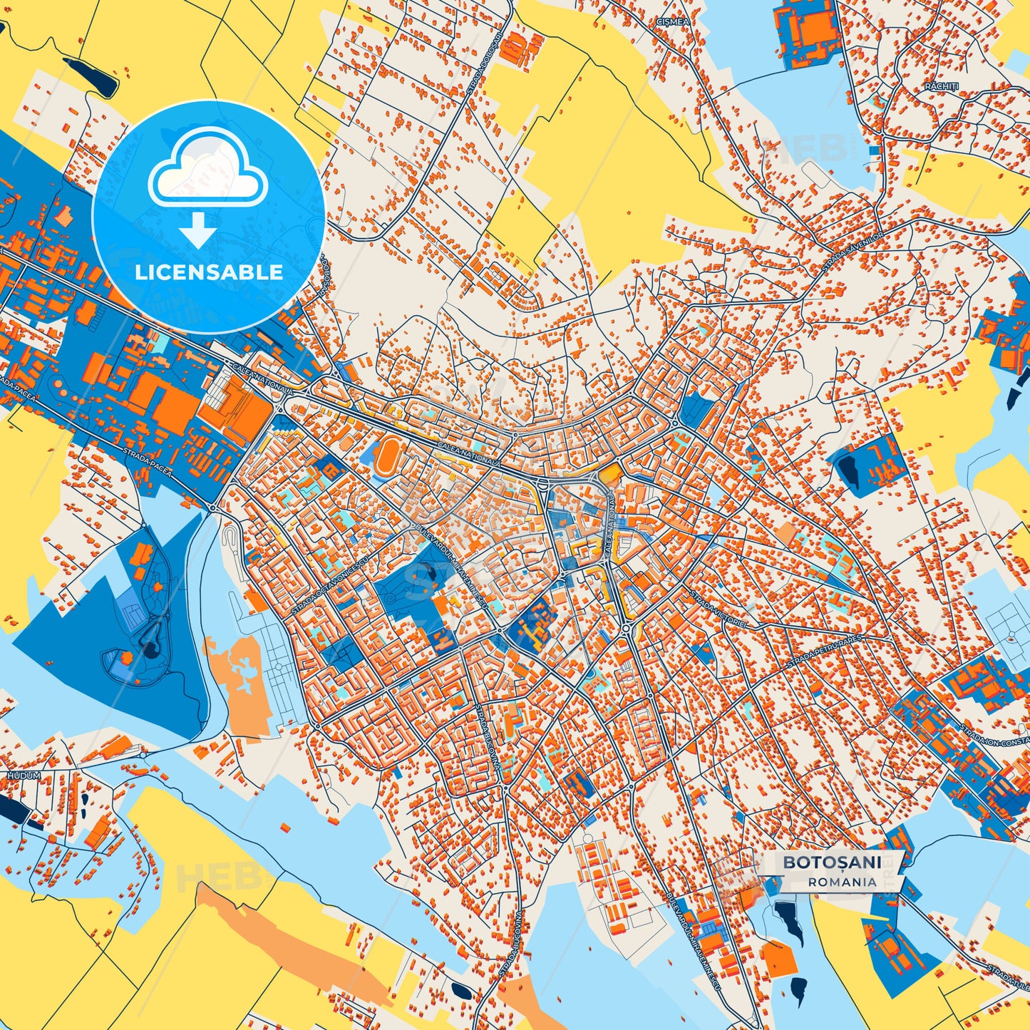 Canvas Print Template of Botoșani Street Map