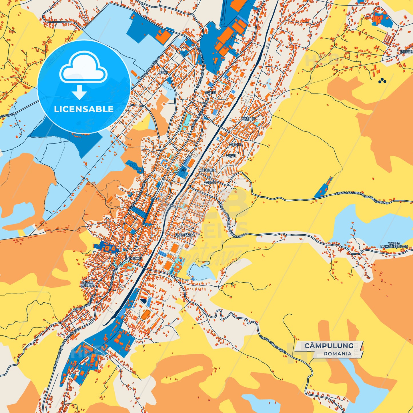 Canvas Print Template of Câmpulung Street Map