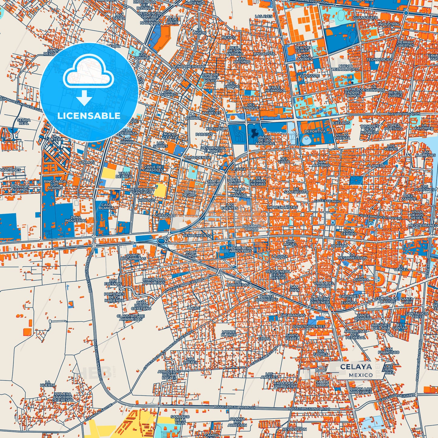 Canvas Print Template of Celaya Street Map