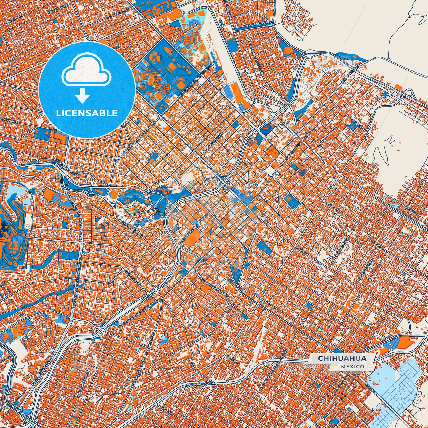 Canvas Print Template of Chihuahua Street Map