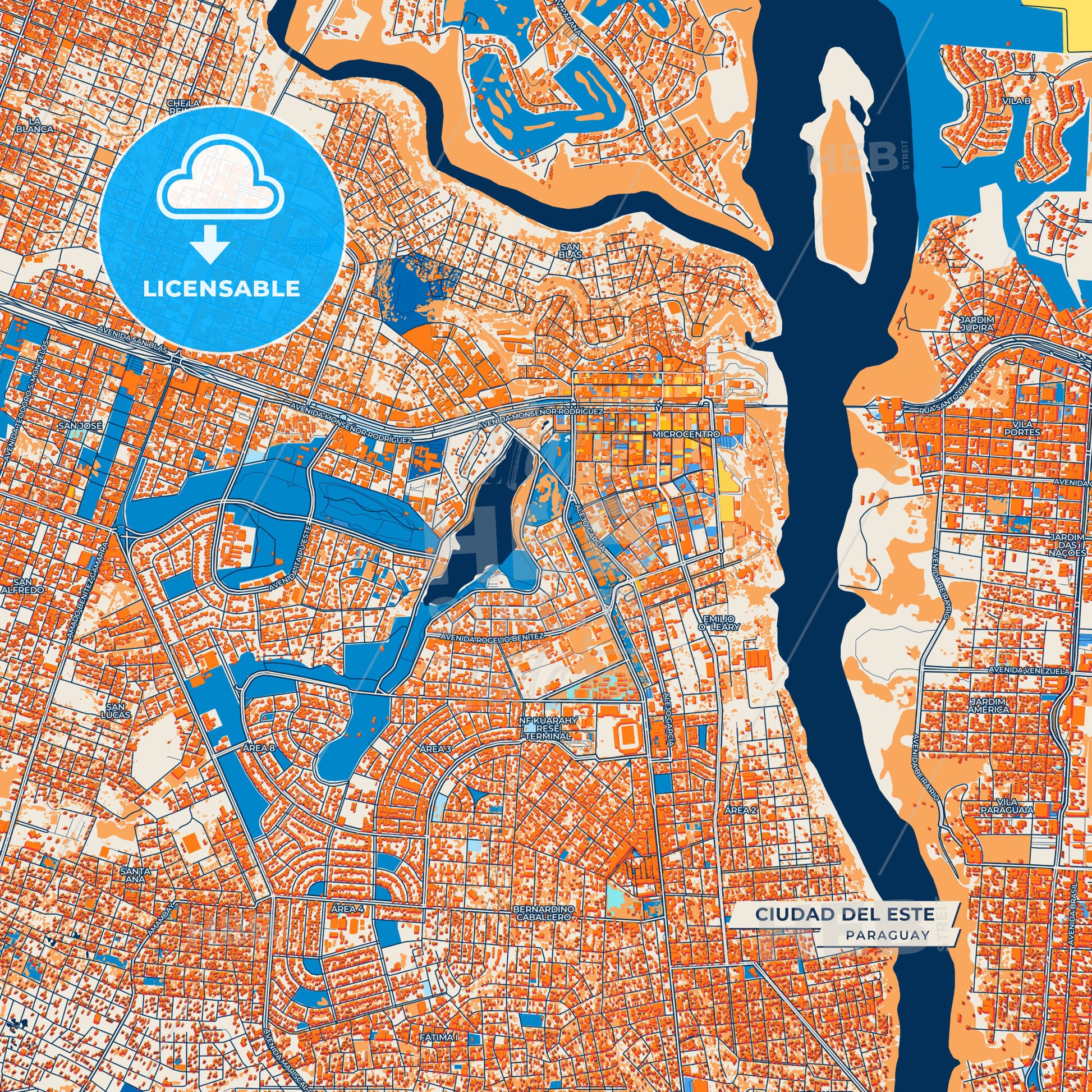 Canvas Print Template of Ciudad del Este Street Map