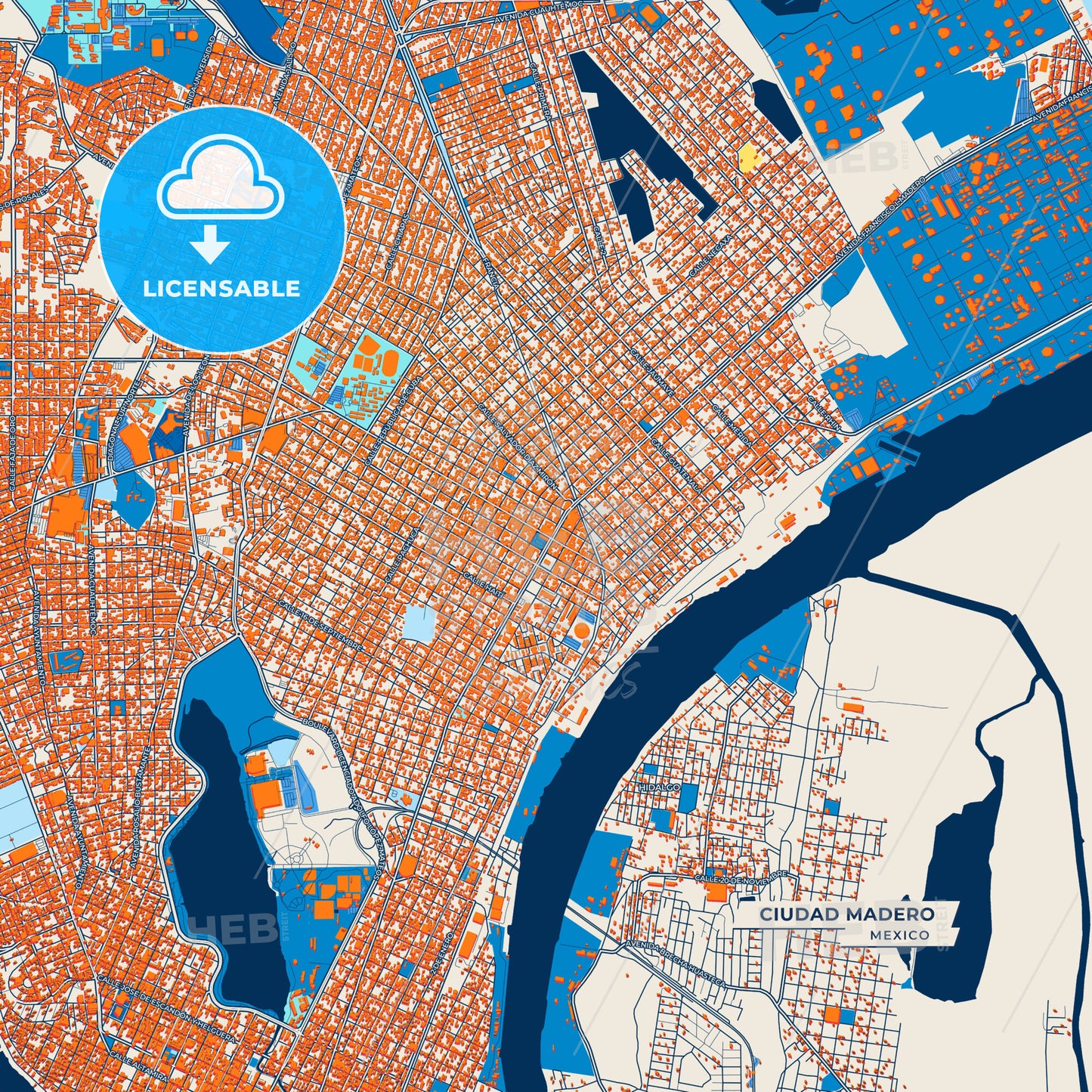 Canvas Print Template of Ciudad Madero Street Map
