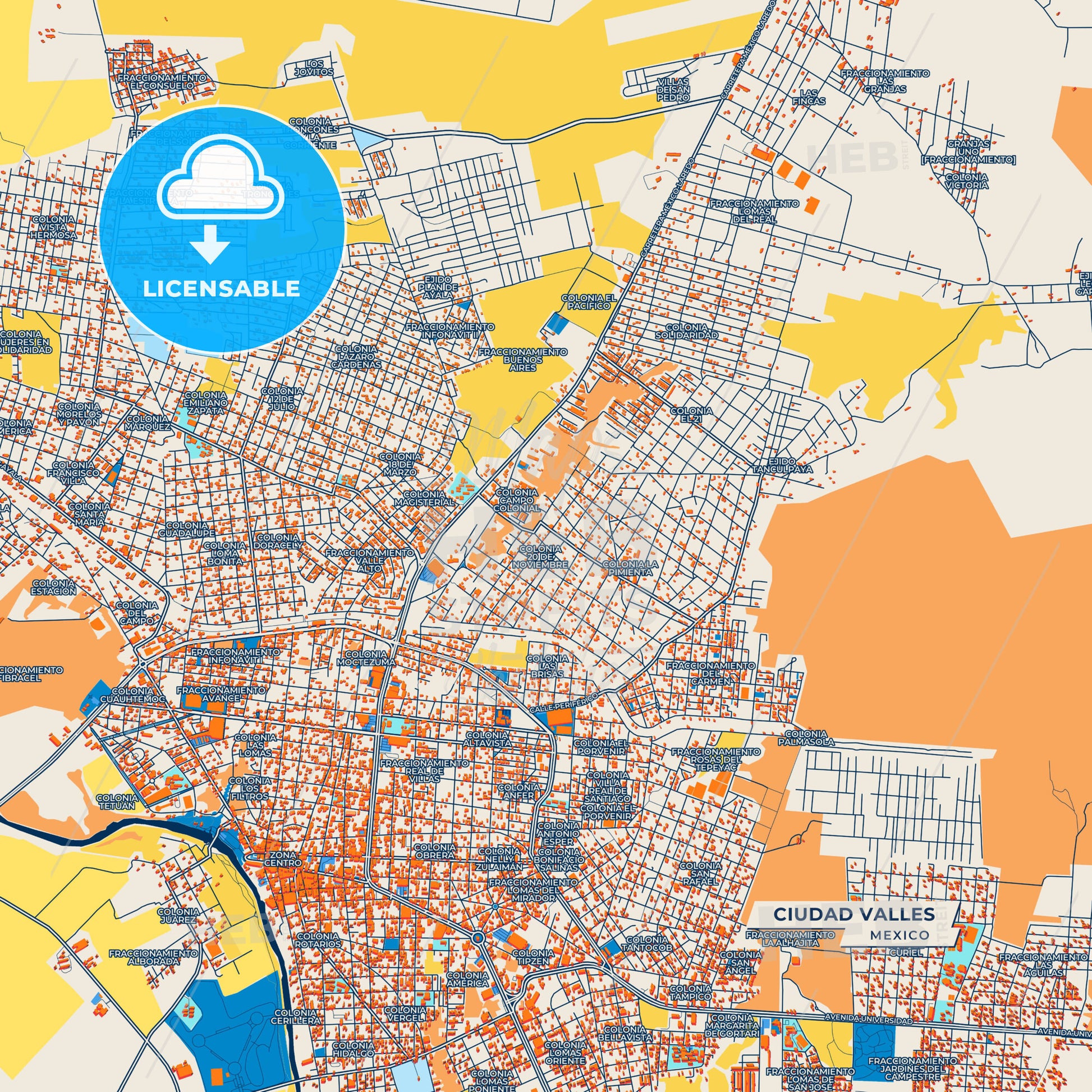 Canvas Print Template of Ciudad Valles Street Map