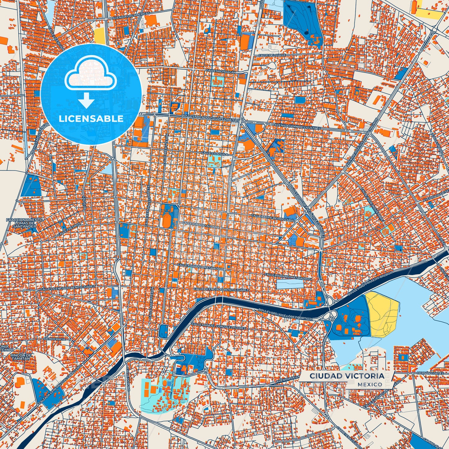 Canvas Print Template of Ciudad Victoria Street Map