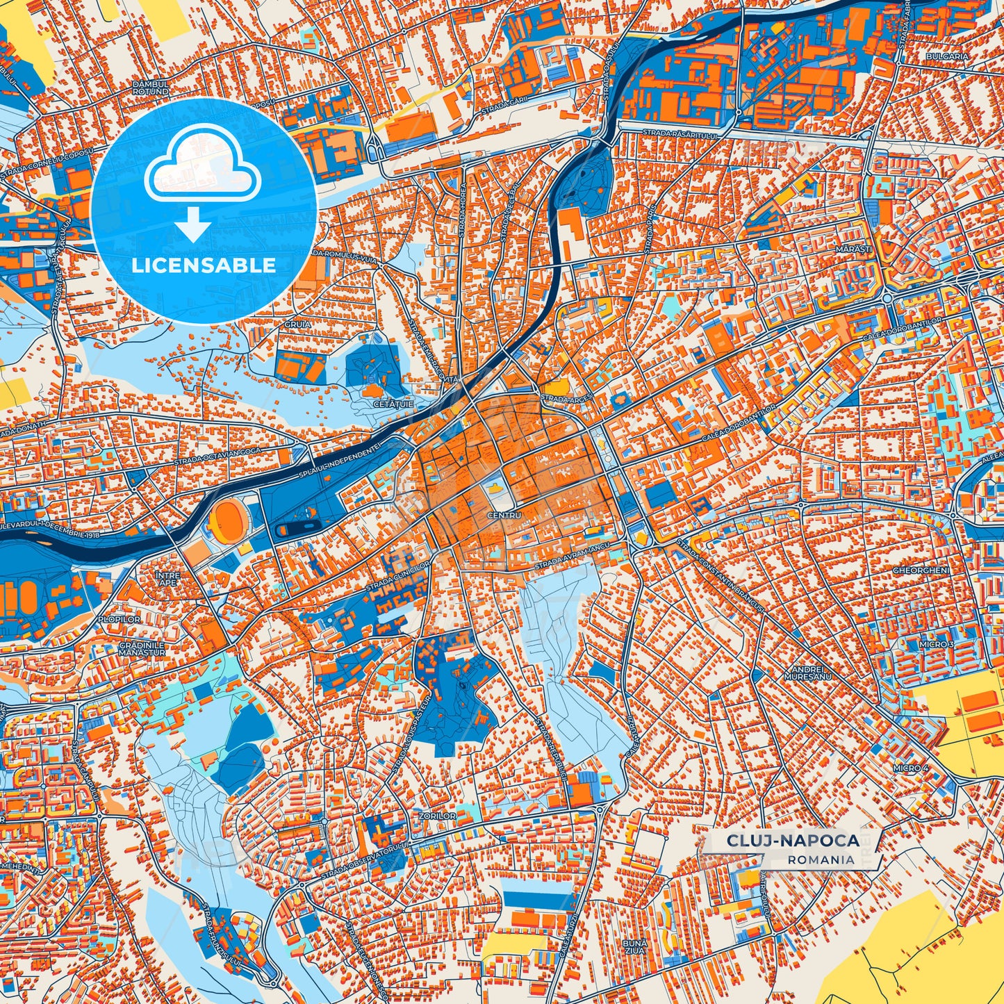 Canvas Print Template of Cluj-Napoca Street Map