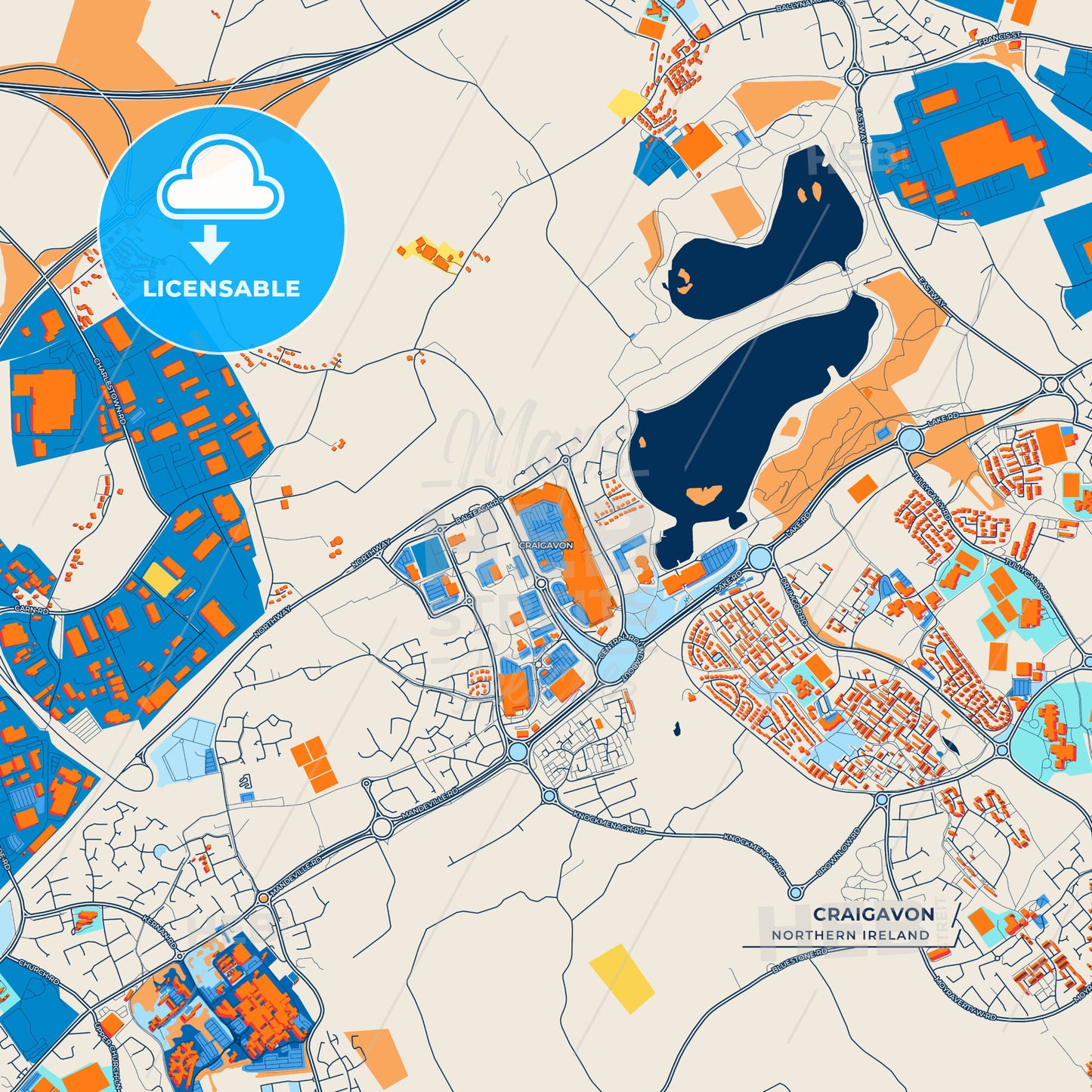 Canvas Print Template of Craigavon Street Map