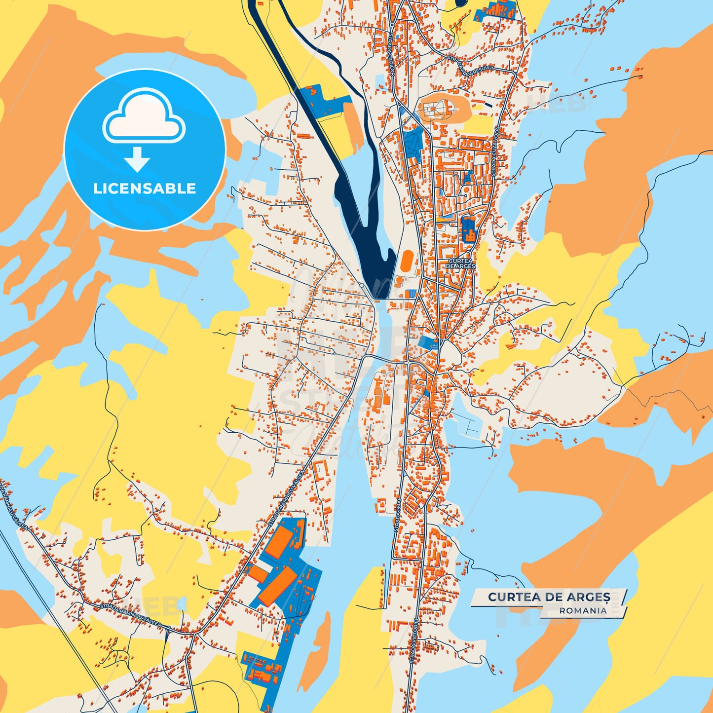 Canvas Print Template of Curtea de Argeș Street Map