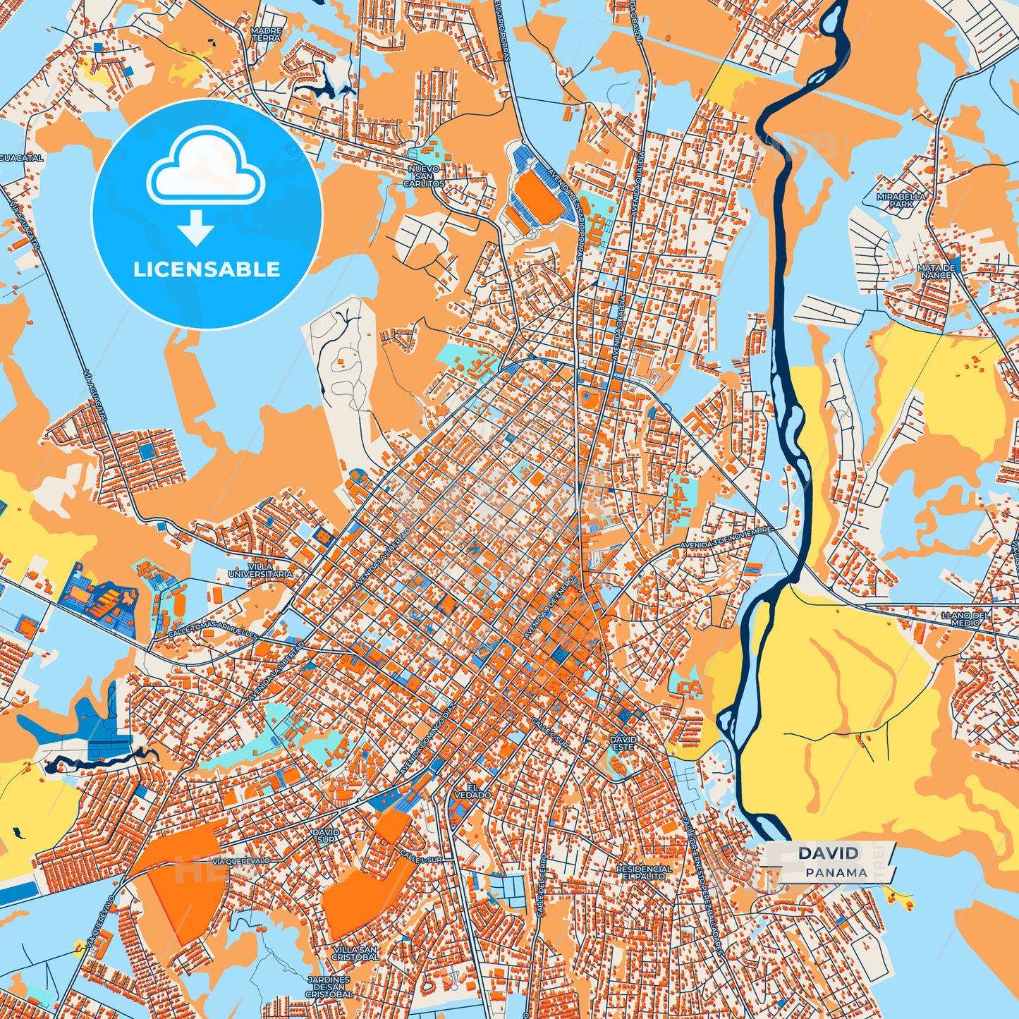 Canvas Print Template of David Street Map