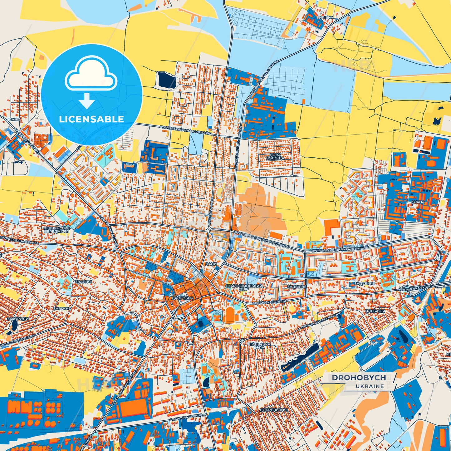 Canvas Print Template of Drohobych Street Map