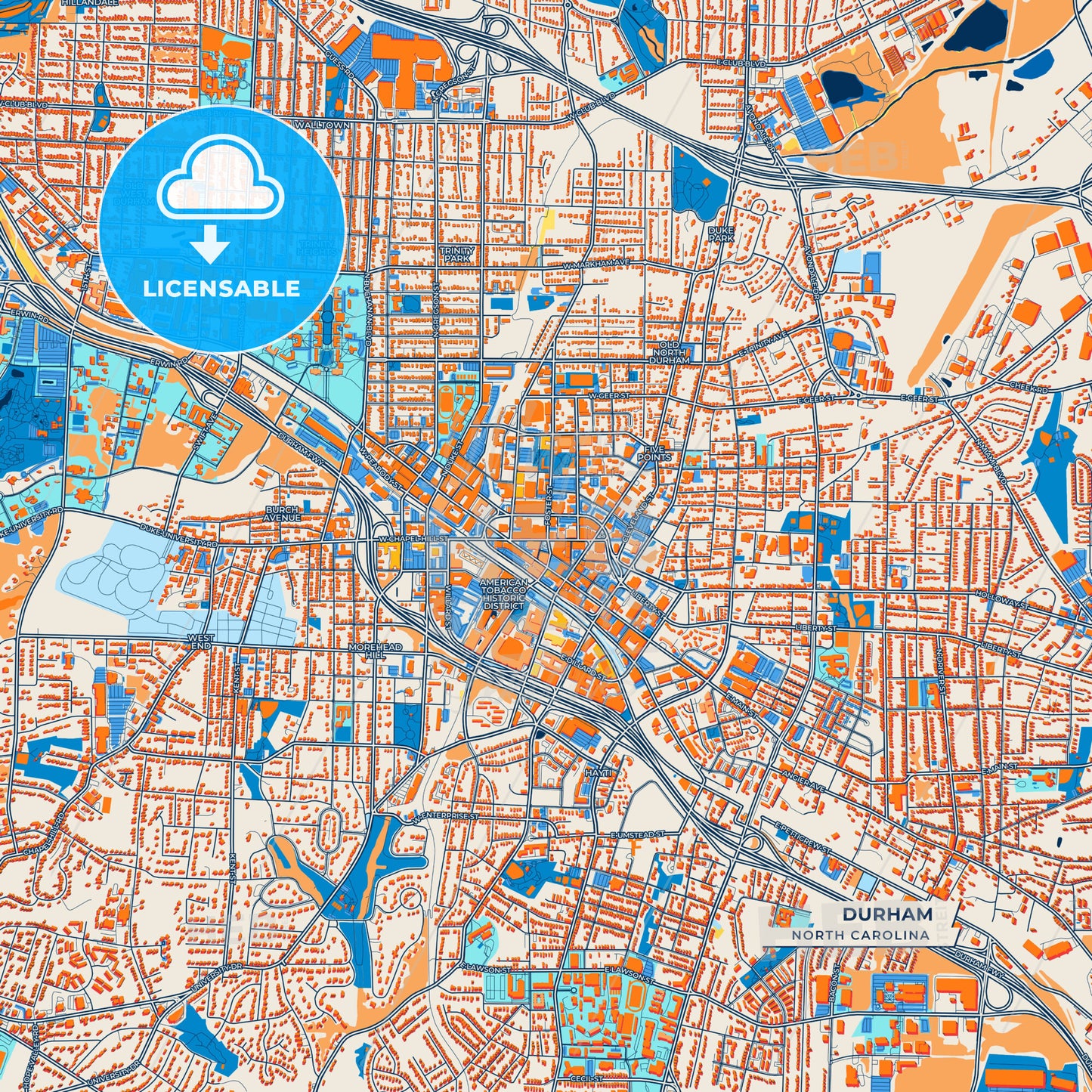 Canvas Print Template of Durham Street Map