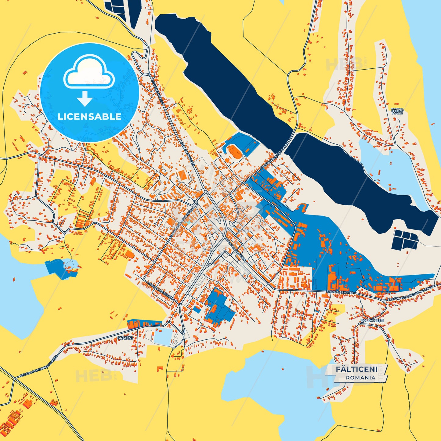 Canvas Print Template of Fălticeni Street Map