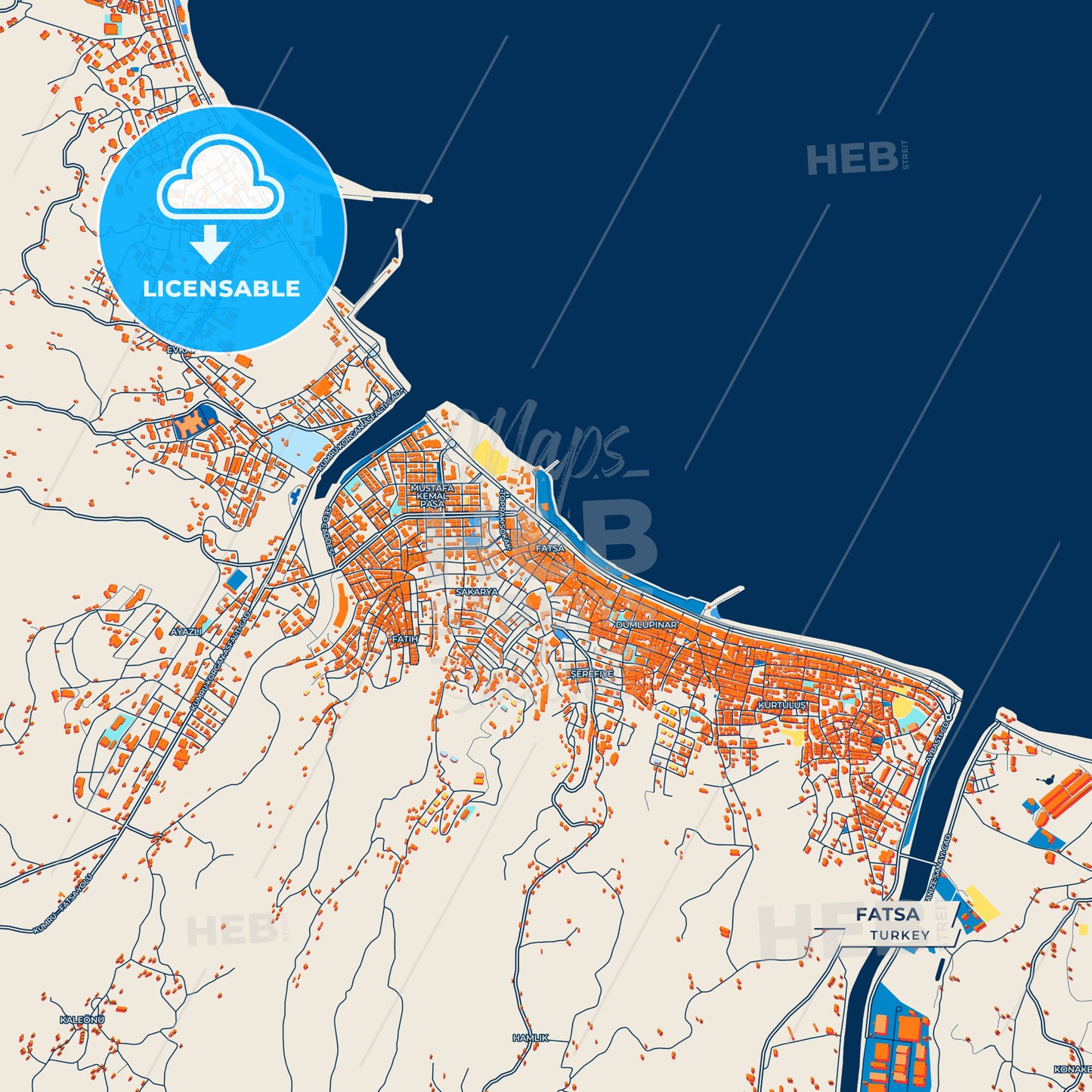 Canvas Print Template of Fatsa Street Map