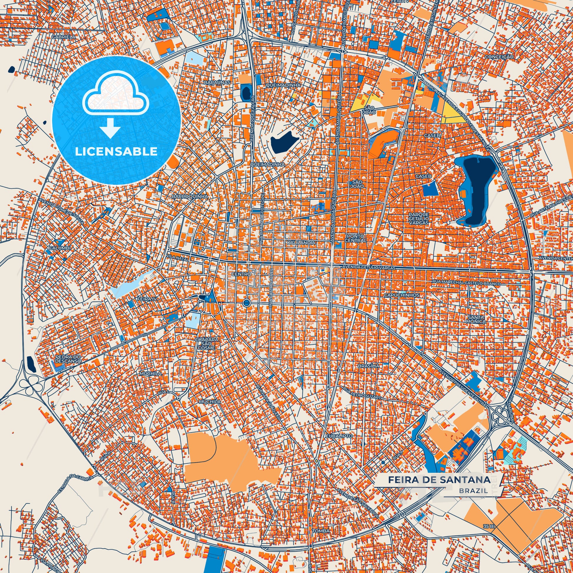 Canvas Print Template of Feira de Santana Street Map