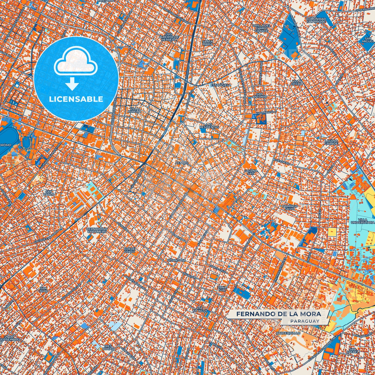 Canvas Print Template of Fernando de la Mora Street Map