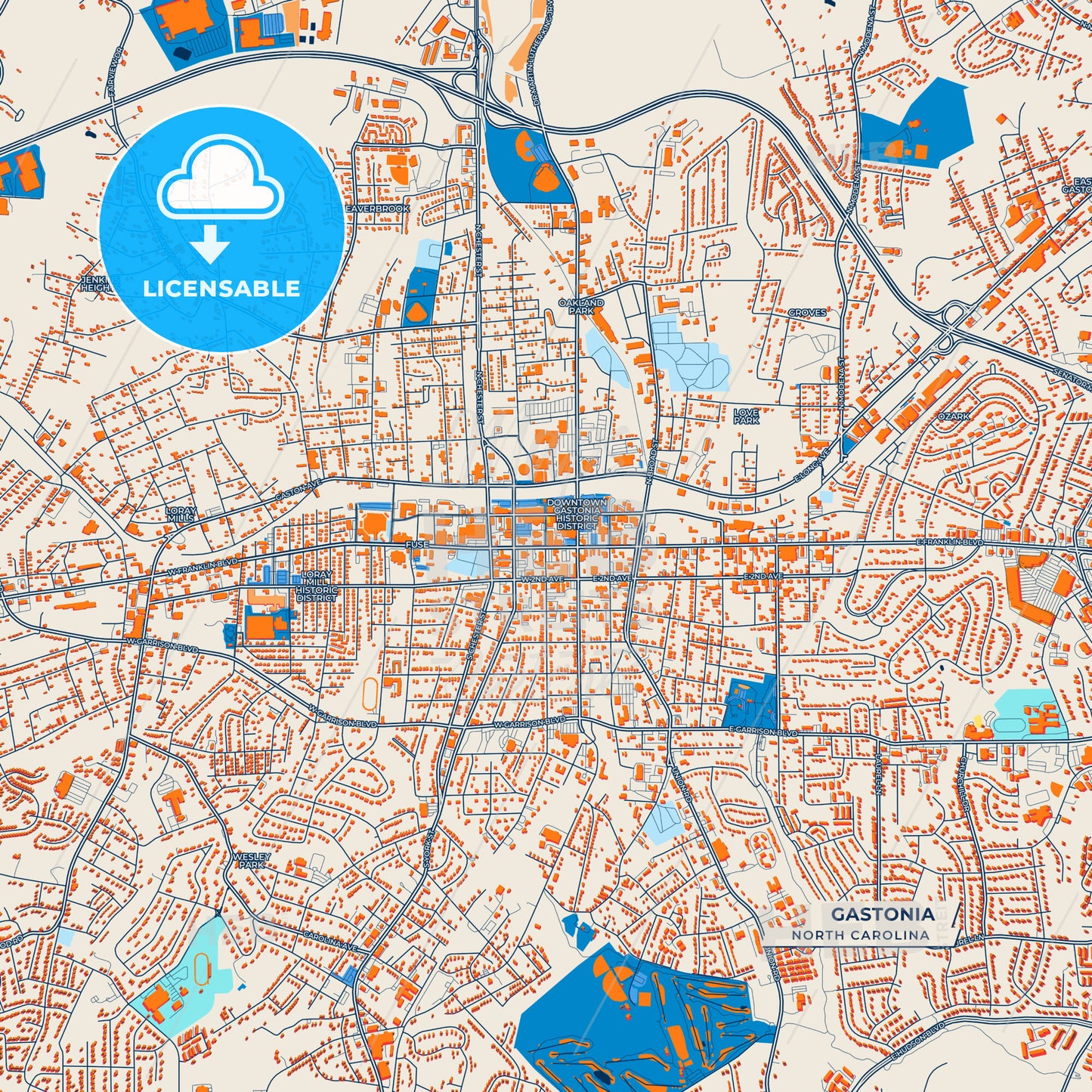 Canvas Print Template of Gastonia Street Map