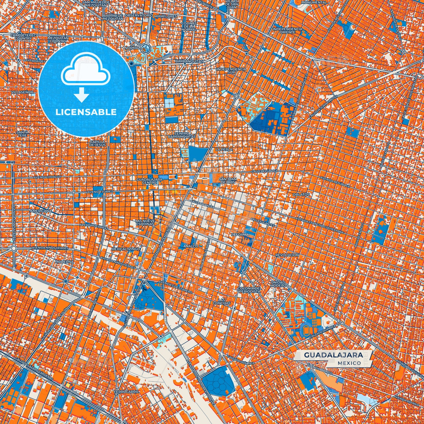 Canvas Print Template of Guadalajara Street Map