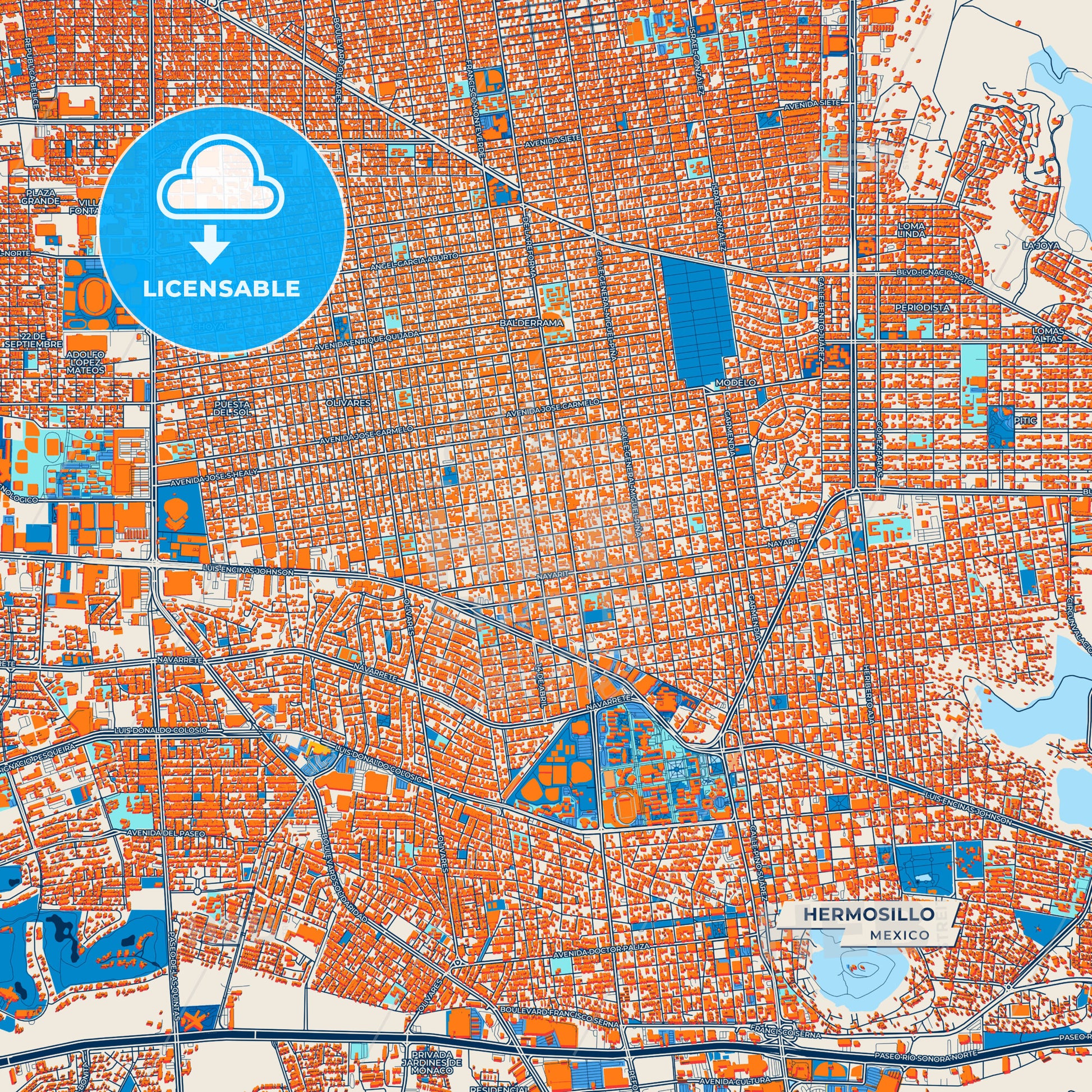 Canvas Print Template of Hermosillo Street Map
