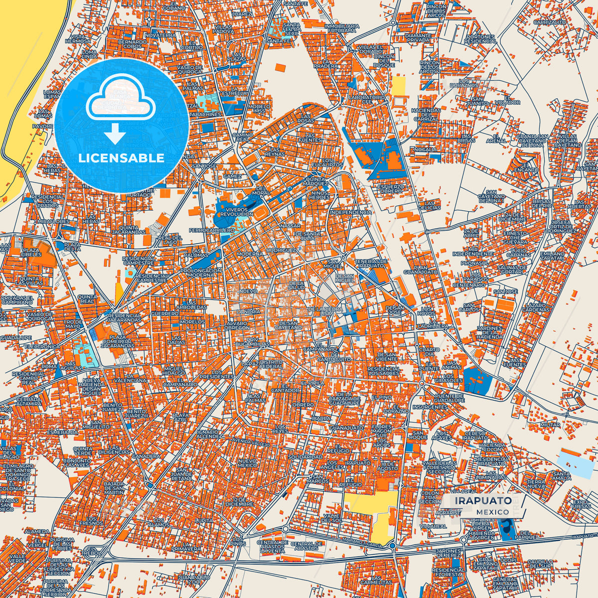 Canvas Print Template of Irapuato Street Map