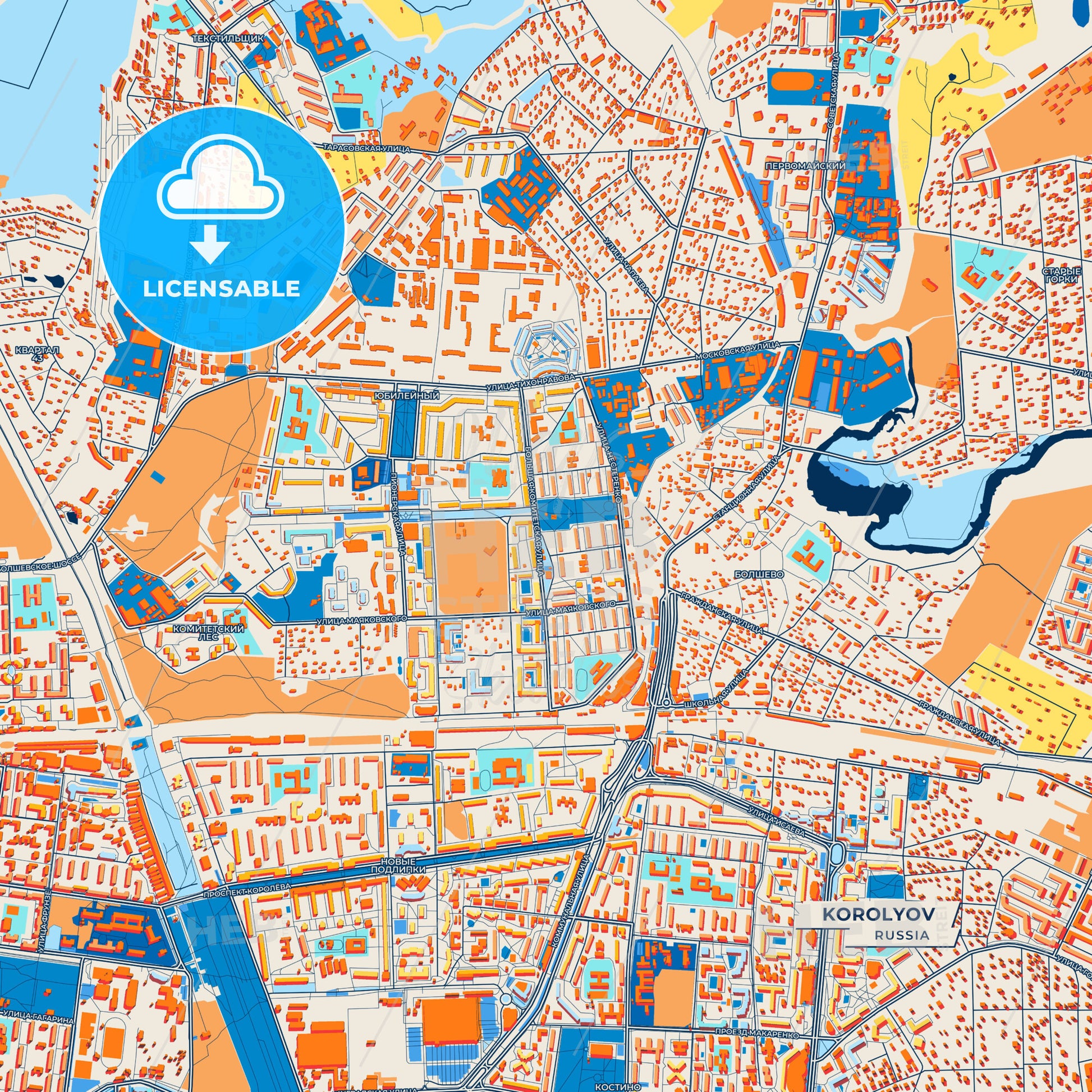 Canvas Print Template of Korolyov Street Map