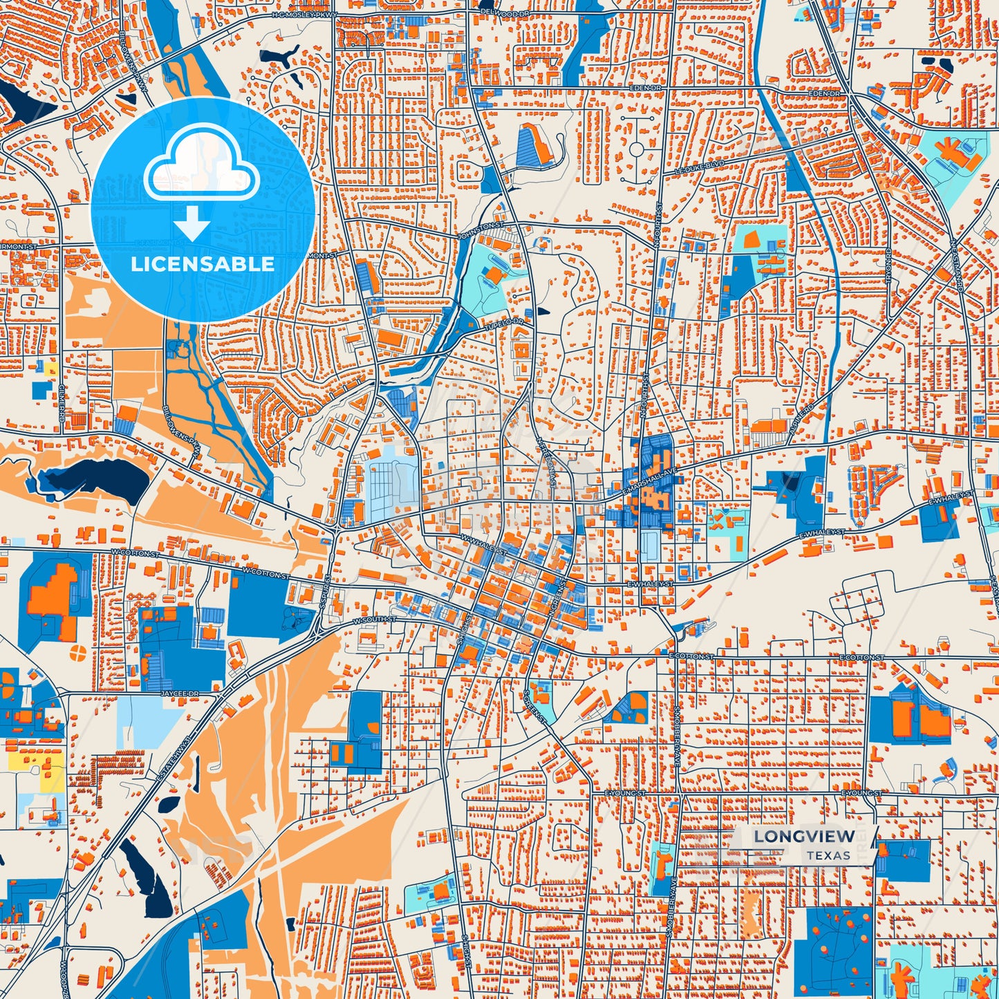 Canvas Print Template of Longview Street Map