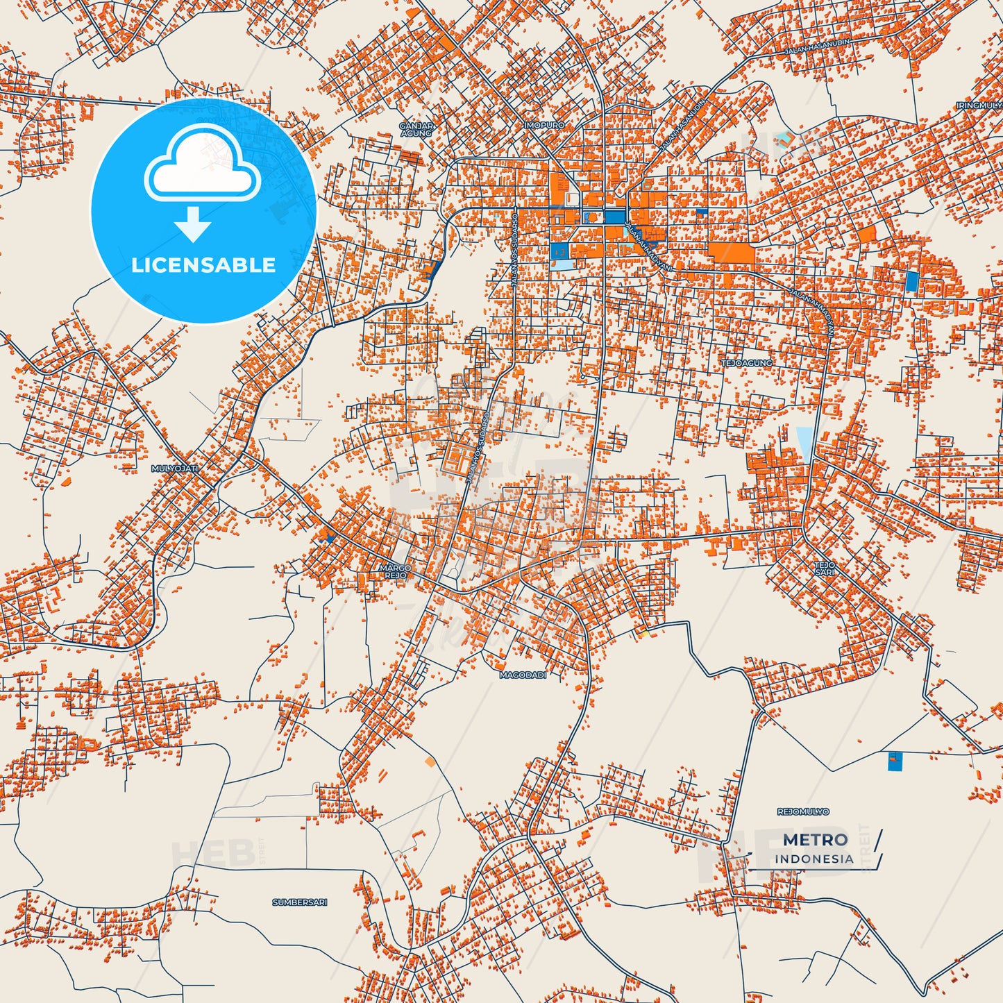 Canvas Print Template of Metro Street Map