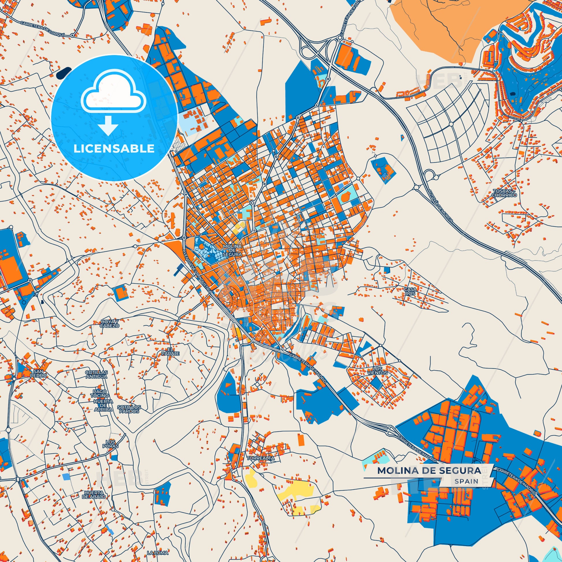 Canvas Print Template of Molina de Segura Street Map