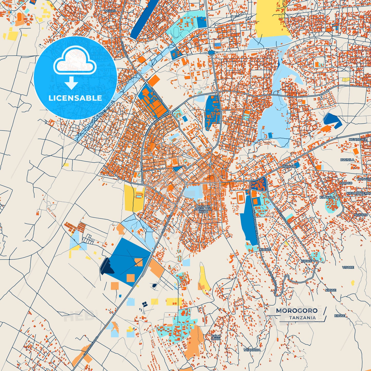 Canvas Print Template of Morogoro Street Map