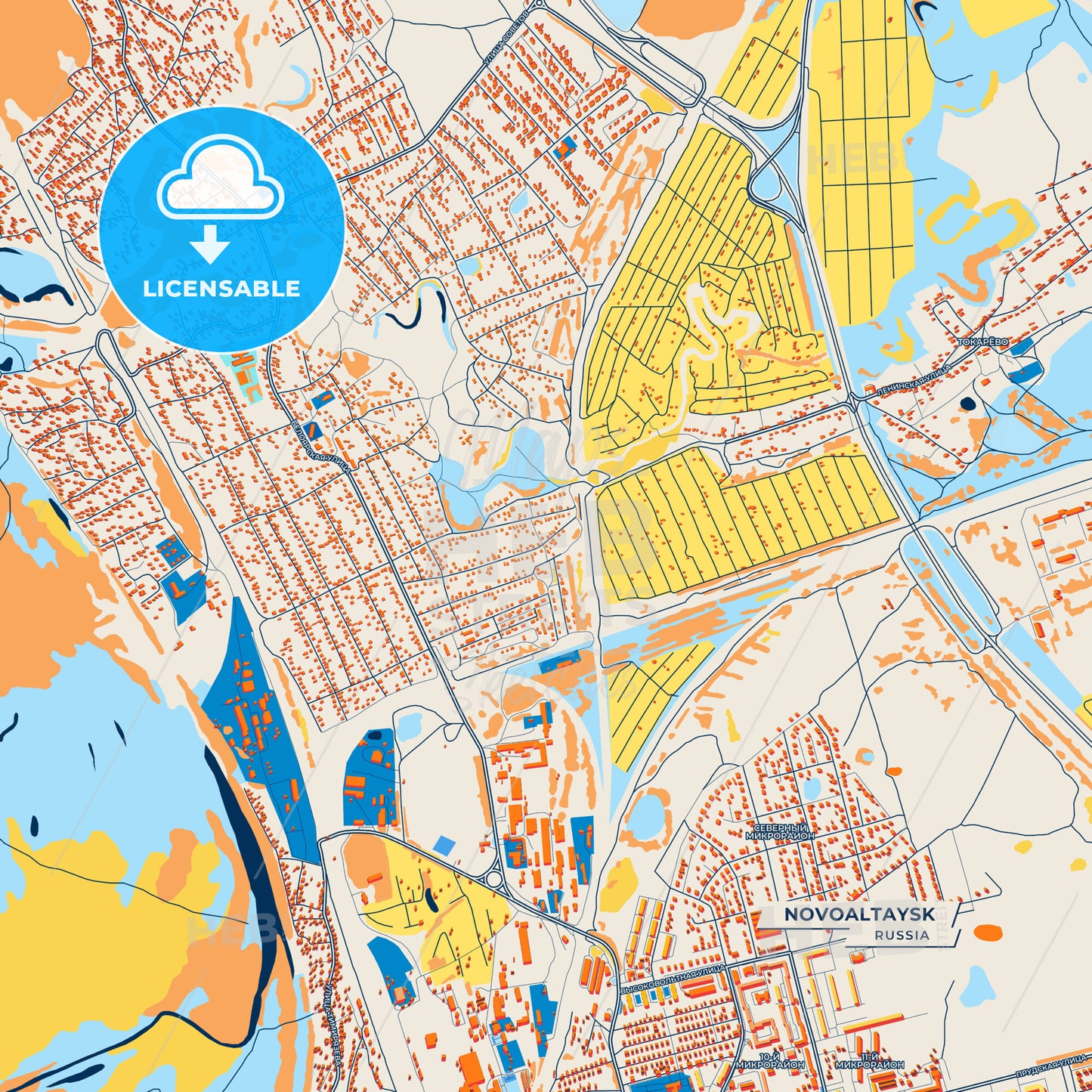 Canvas Print Template of Novoaltaysk Street Map