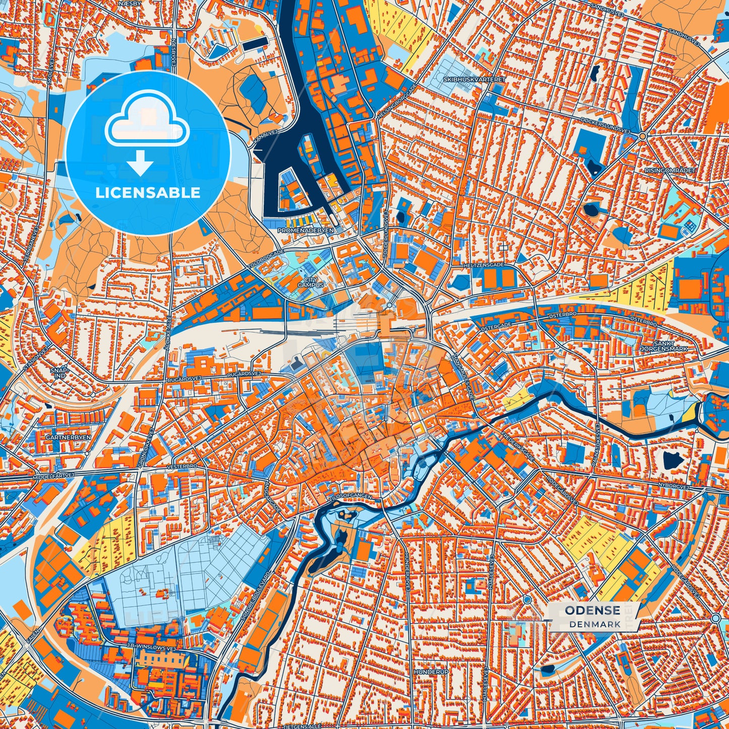 Canvas Print Template of Odense Street Map