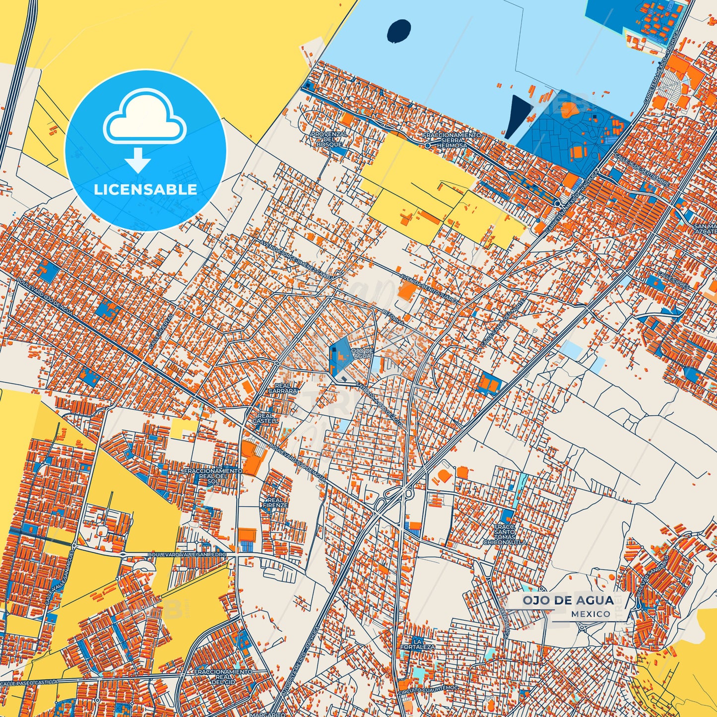 Canvas Print Template of Ojo de Agua Street Map