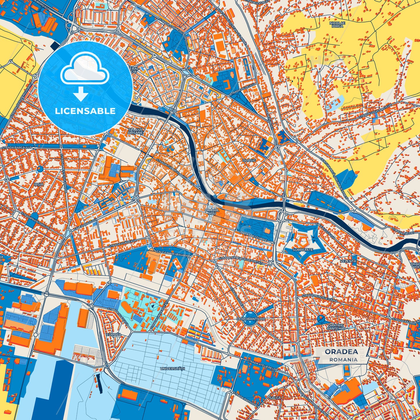 Canvas Print Template of Oradea Street Map