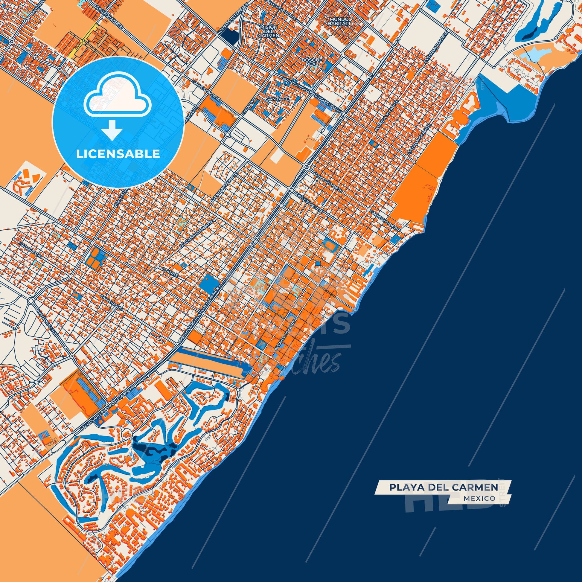 Canvas Print Template of Playa del Carmen Street Map