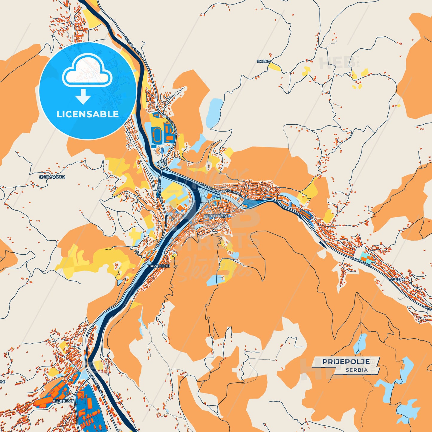 Canvas Print Template of Prijepolje Street Map