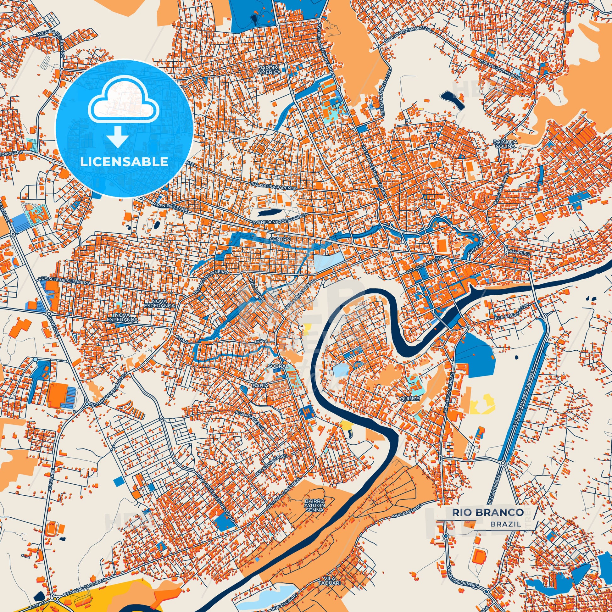 Canvas Print Template of Rio Branco Street Map