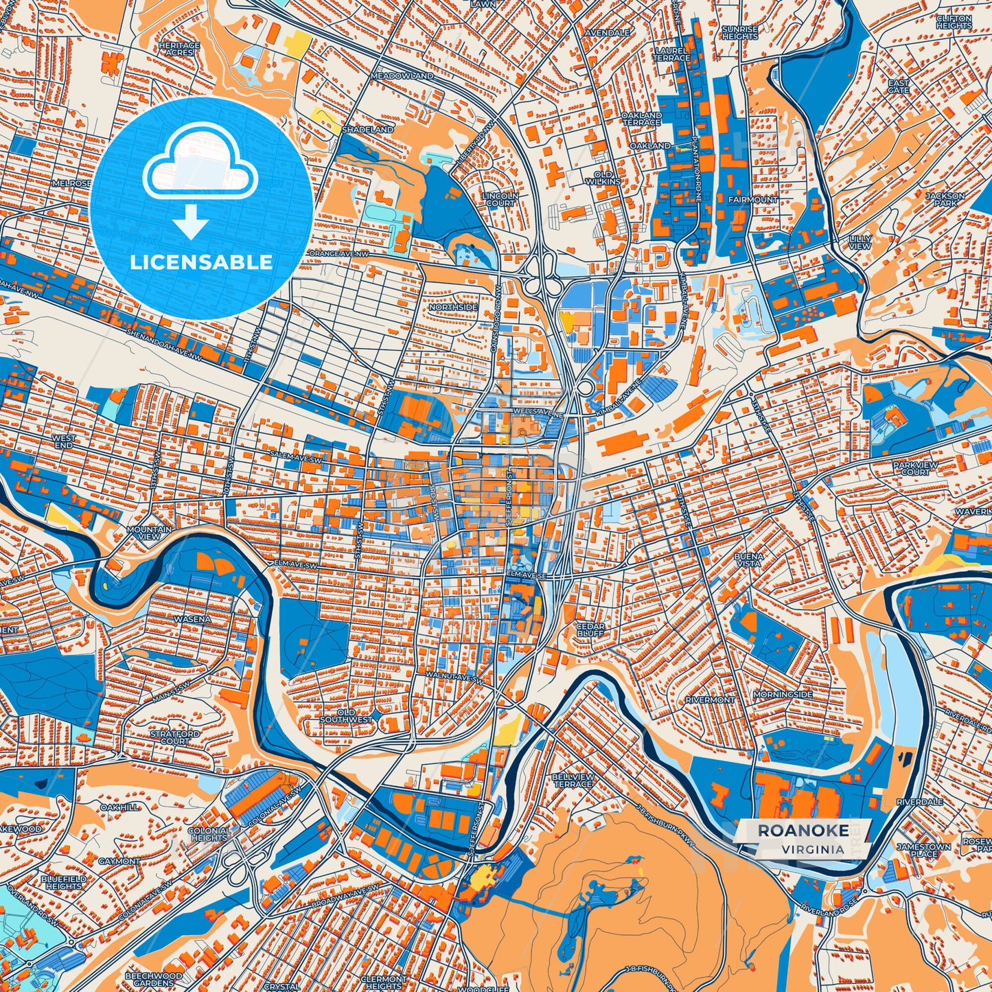 Canvas Print Template of Roanoke Street Map