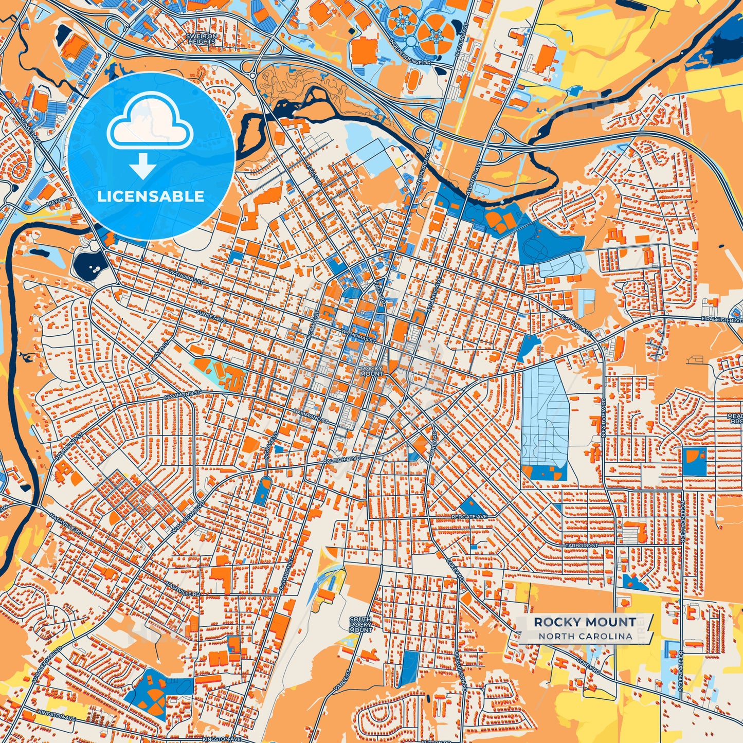 Canvas Print Template of Rocky Mount Street Map
