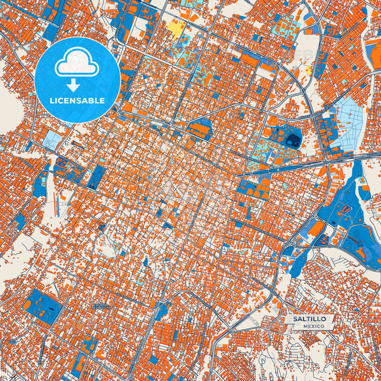 Canvas Print Template of Saltillo Street Map