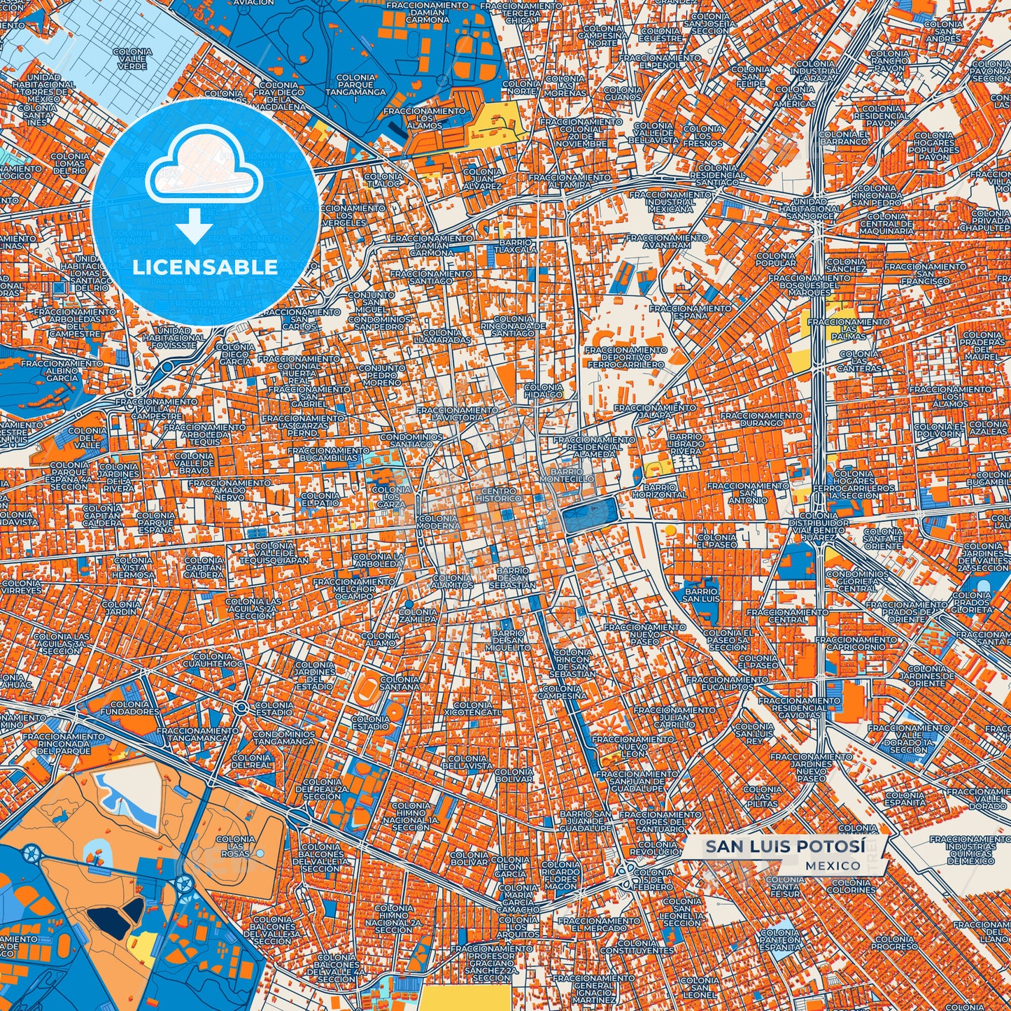 Canvas Print Template of San Luis Potosí Street Map