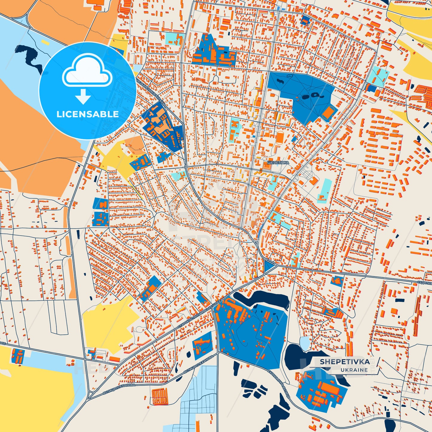 Canvas Print Template of Shepetivka Street Map