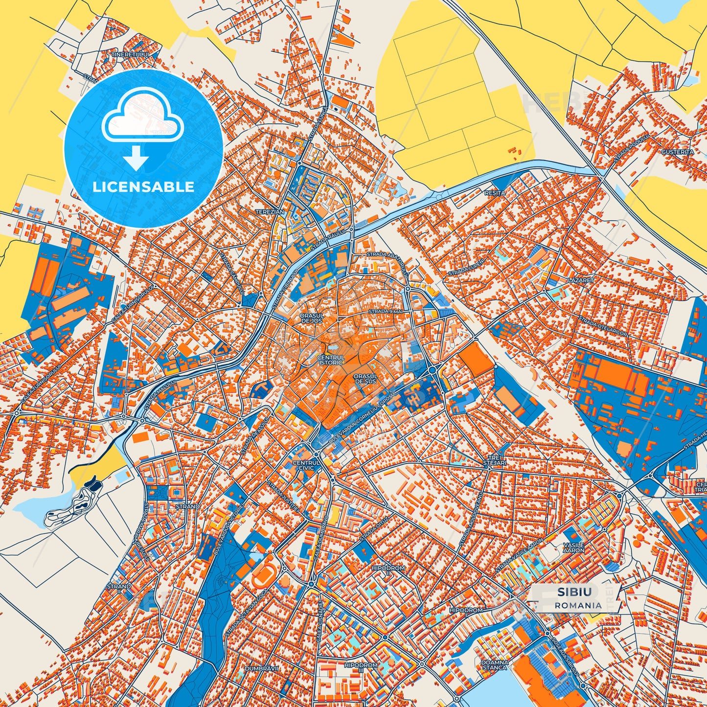 Canvas Print Template of Sibiu Street Map