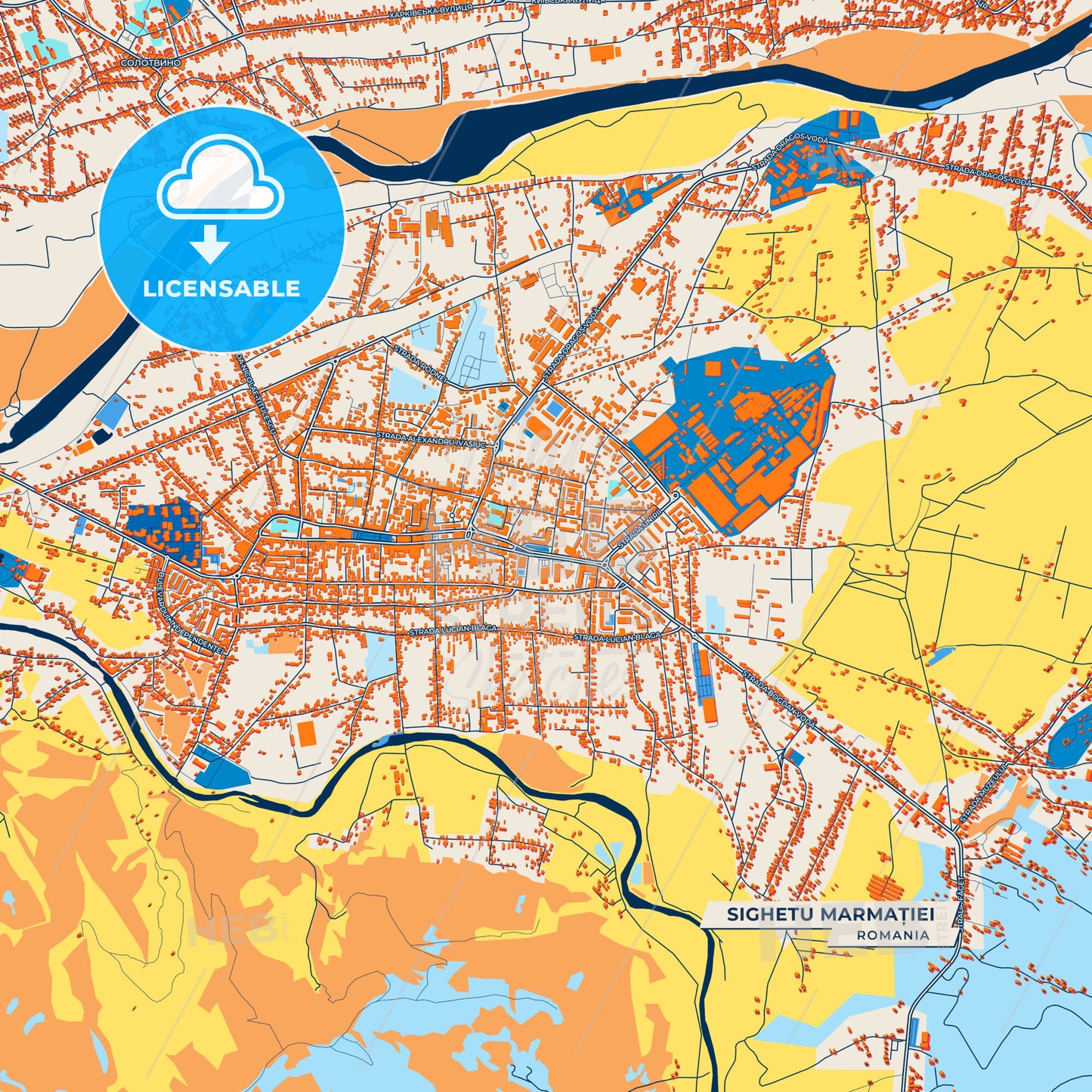 Canvas Print Template of Sighetu Marmației Street Map