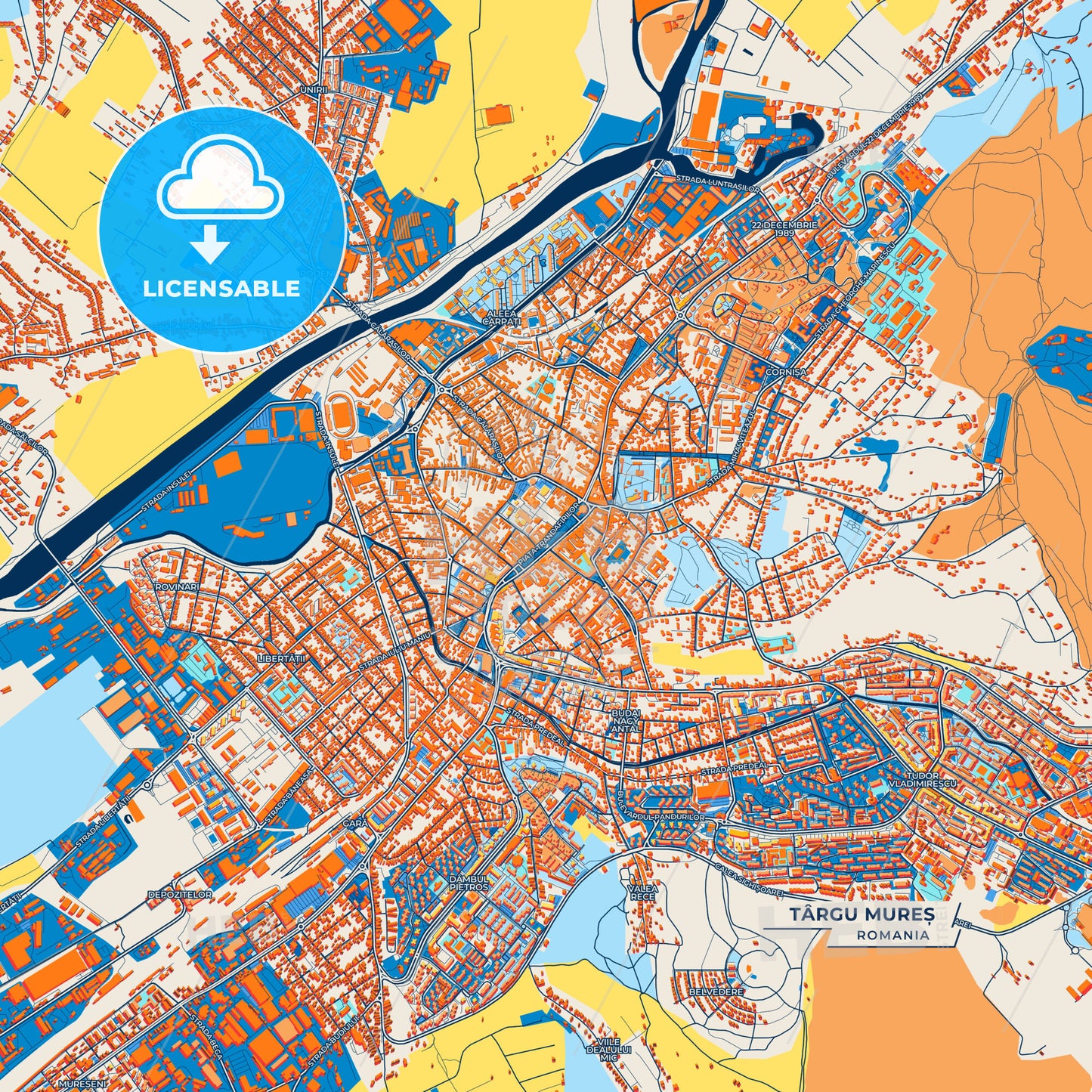 Canvas Print Template of Târgu Mureș Street Map