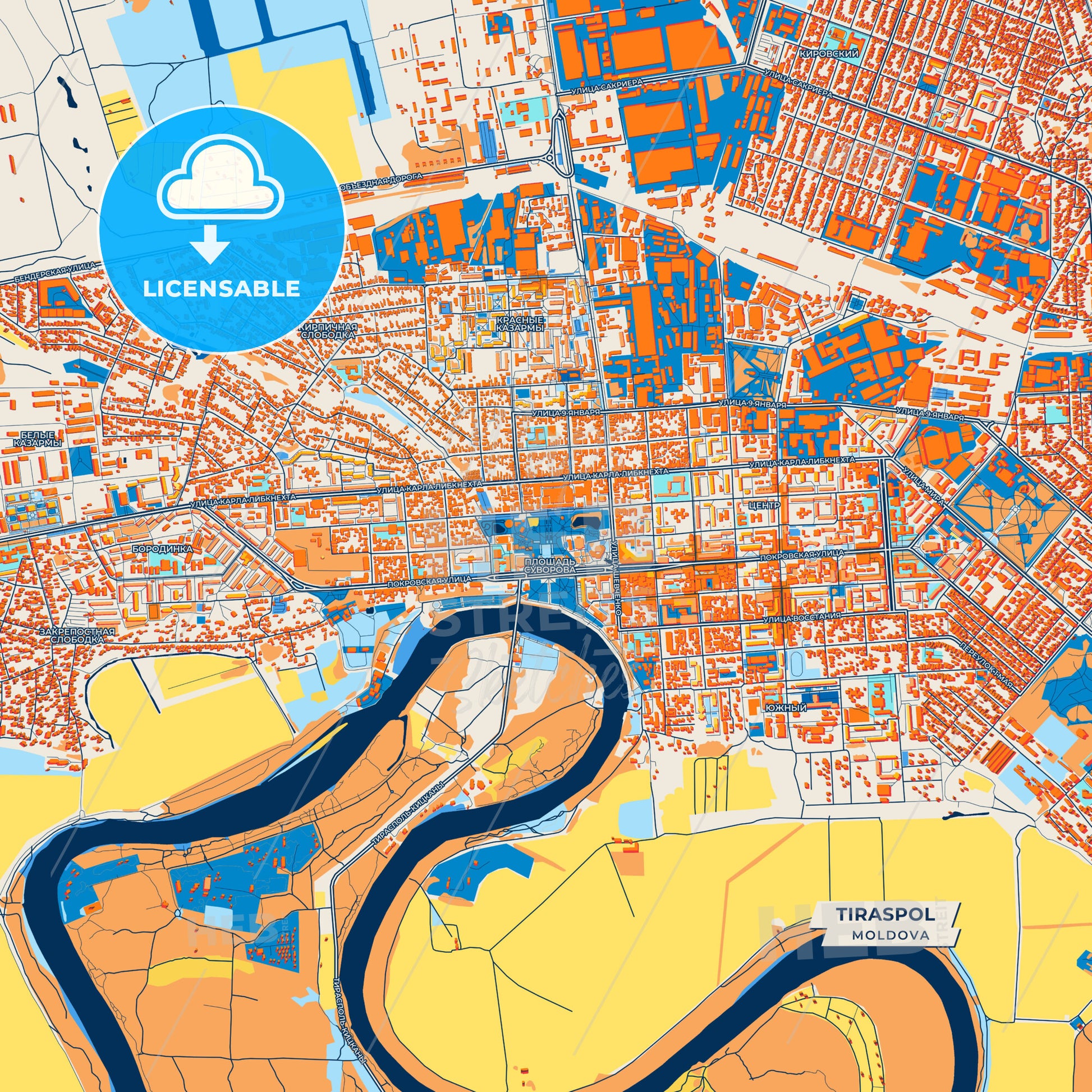 Canvas Print Template of Tiraspol Street Map